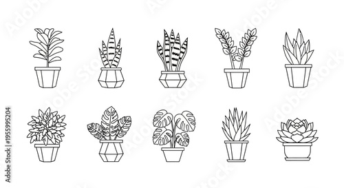 Collection of Potted Plants Line Drawings.
