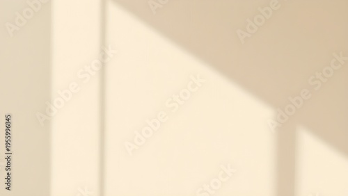 아이보리 벽면에 비치는 햇살 스튜디오 용 배경 The background of the sun studio on the wall of ivory