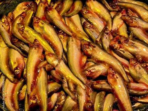 Tableau sur toile Butterfish and pabda fish neatly displayed for sale in a traditional Bangladeshi market