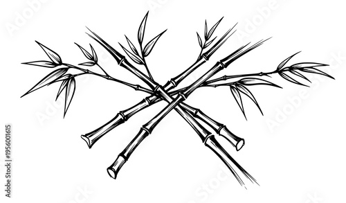 Hand drawn bamboo sketch vector with artistic ink style leaves isolated on white background