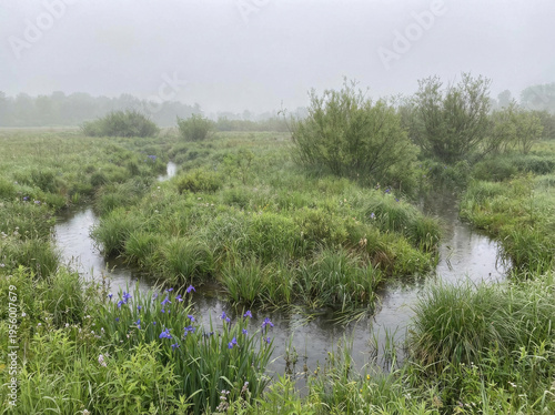 Misty morning over a winding creek in a lush green meadow with wildflowers.