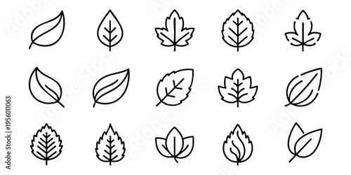 A collection of various leaves are illustrated in black lines on a white background.