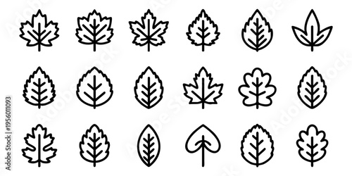 Various illustrations of leaves are presented in a grid on a clean surface