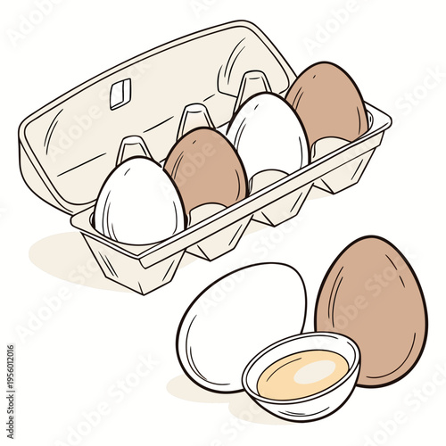 Eggs in carton with two loose eggs and yolk with ideal for cooking, grocery