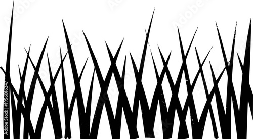 Black silhouettes of sharp pointed grass blades against a white background nature