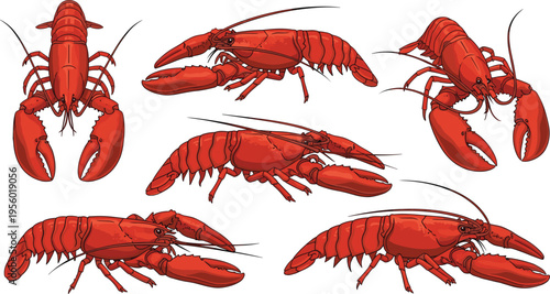 Realistic Lobster Set with Different Poses, Detailed Features, and Claw Designs for Seafood, Marine Life, and Ocean-themed Projects
