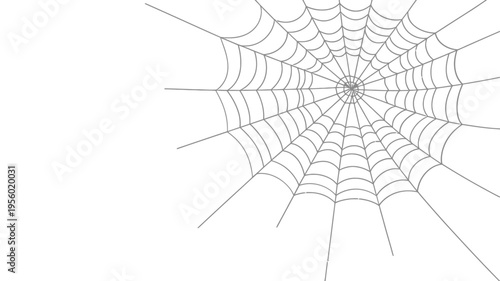 A detailed illustration of a classic spiderweb against a white background