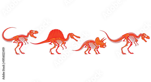 Set of dinosaur skeletons