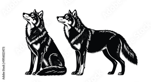 Two wolves standing and sitting, vector illustration