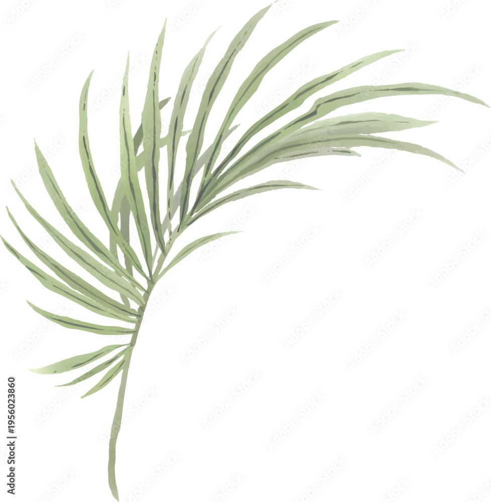 Obraz premium Palm Leaf Tropical Green Vector Image