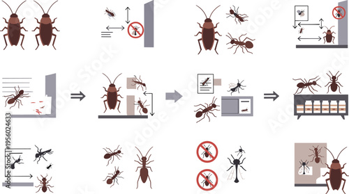 Pest control process set with cockroaches ants extermination steps prevention and home insect treatment cartoon vector illustration collection