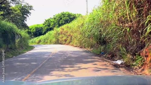POV driving through a lush green rural road with dense vegetation. Ideal for travel, nature, road trip, and freedom concepts.