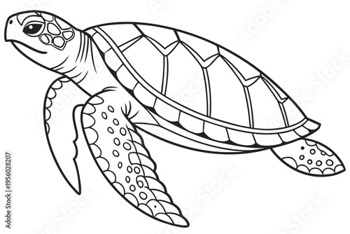 Majestic Sea Turtle Swimming: Detailed Aquatic Line Art Illustration"