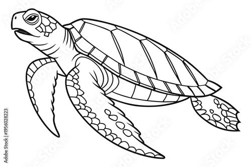 "Swimming Sea Turtle: Detailed Black and White Line Art Illustration"