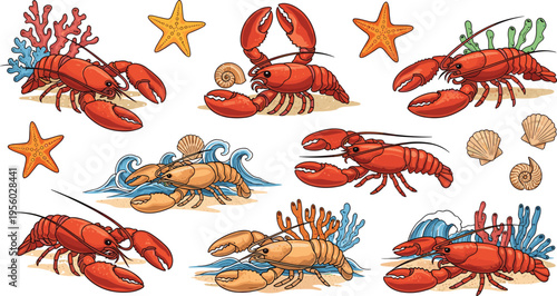 Lobster seafood collection with starfish shells and ocean elements detailed vector illustration marine animals set for menu design