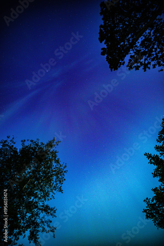 Silent night sky glows with deep blues and starlight. Tree silhouettes frame the celestial expanse. Stars twinkle like scattered diamonds across the heavens. The atmosphere feels calm, vast