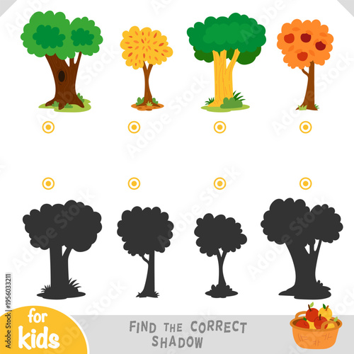 Find the correct shadow educational game for children with a set of trees. Flat vector illustration with different plants and silhouette shadows. Printable worksheet for kids