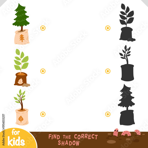 Find the correct shadow educational game for children with set of trees seedling in bags. Flat vector illustration with different plants and silhouette shadows. Printable worksheet for kids