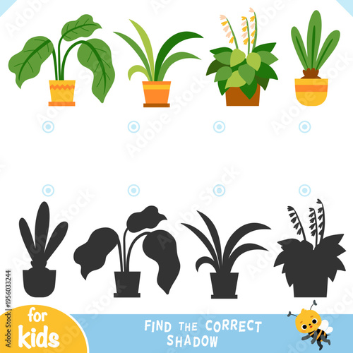Find the correct shadow educational game for children with a set of houseplants in pots. Flat vector illustration with different plants and silhouette shadows. Printable worksheet for kids