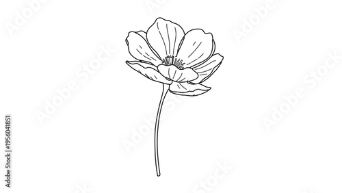 A minimalist line art illustration of a single flower with a long stem on a white background