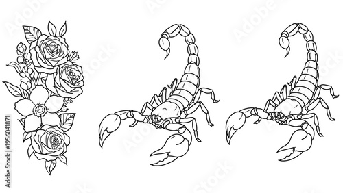 A minimalist vector graphic illustration of scorpions and roses in a flat line art style