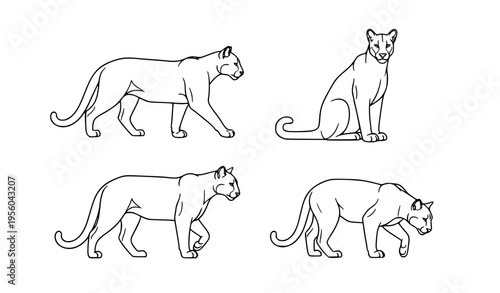set of horses Mountain Lion Outline Poses Elegant Cougar Line Art Vector Set