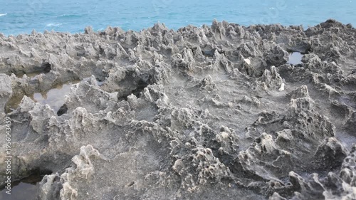 This stock video shows a thousand-year-old Ancient Reef.
