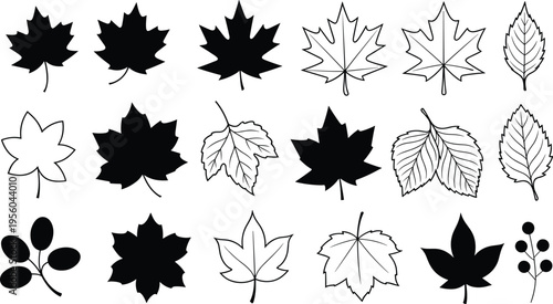 Collection of black and white leaf with various shapes and patterns leaves nature outline