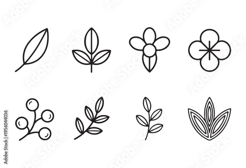 Set of scientific and photographic equipment vector illustration for education and hobby projects