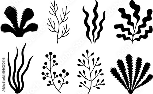 Collection of black silhouette seaweeds and aquatic plants isolated white background