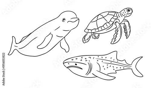 Illustration of a beluga whale, sea turtle, and shark in a simple black and white design suitable for coloring books or educational materials