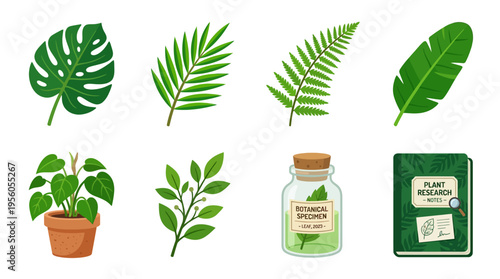 A vector illustration of various green leaves and plants in a botanical setting with a jar and book.