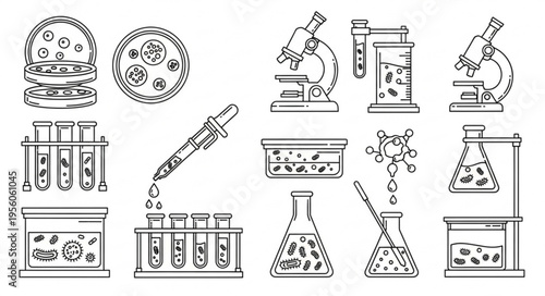 Pathogen Lifecycle Diagram Vector with Virus Reproduction and Bacterial Growth Stages