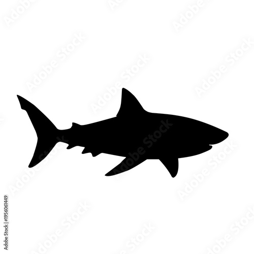 Shark silhouette isolated on white background. Marine predator fish in simple flat vector illustration style