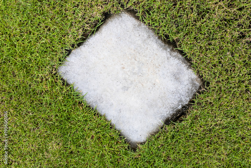Cement manhole cover for drainage in the lawn.