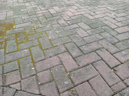 Close up of gray brick pavement in herringbone pattern with moss in joints, outdoor walkway texture background