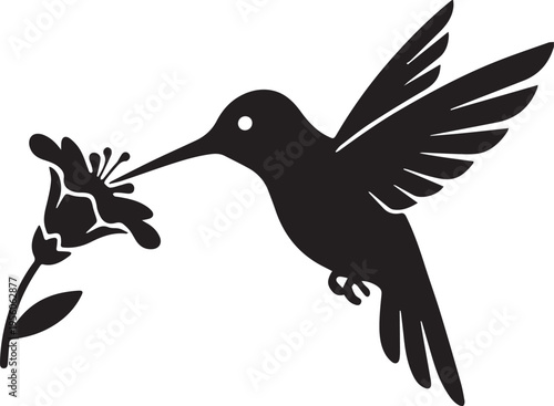 Black silhouette of hummingbird feeding on flower with isolated on whit