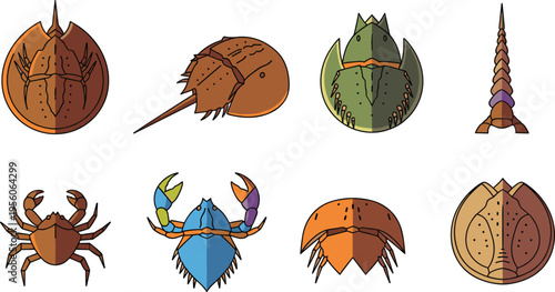 Horseshoe Crab Anatomy and Marine Arthropod Icon Set with Shell Variations, Tail Spine, Top and Bottom Views for Biology Education Vector Illustration