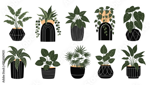Collection of stylized indoor plants in creative black patterned pots arranged in two rows on a plain white background.