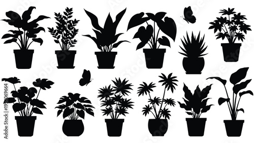 Collection of various houseplant silhouettes in simple pots accompanied by small butterfly silhouettes for a natural decor theme.