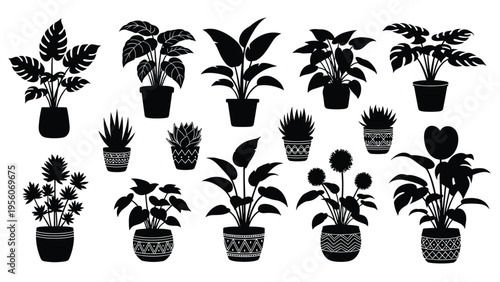 Silhouette collection of tropical houseplants in various decorative pots, including varieties with broad leaves and spiked textures.