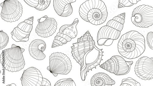 Intricate seamless pattern featuring diverse types of hand-drawn seashells and snail shells in a black and white line art style.