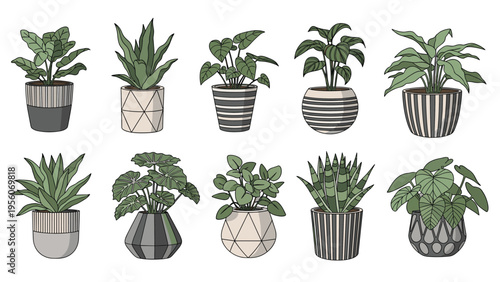 Collection of ten different green houseplants in stylishly patterned ceramic pots isolated on white background.