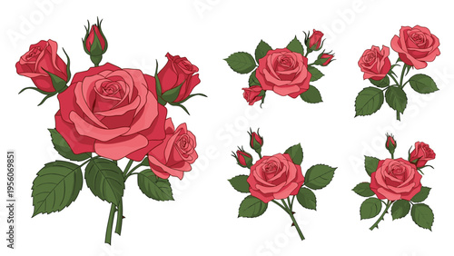 Beautiful collection of red and pink rose arrangements with green leaves and buds shows various floral compositions for romantic design projects.