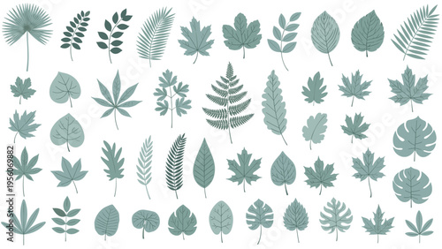 Large set of diverse leaf silhouettes in a muted teal color displays different shapes from oak and maple to monstera and palm varieties.
