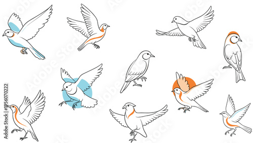Collection of sparrow bird illustrations showing various flying and perched poses for nature and wildlife design projects.