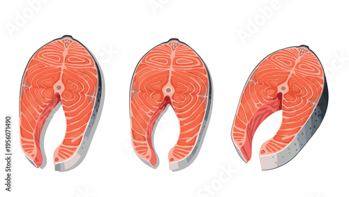 Set of three slices of fresh raw salmon fish shown from different angles with marble texture on isolated white background.