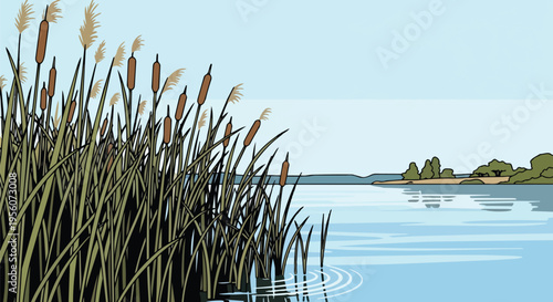 Illustrative tranquil wetland. Tall cattails and reeds rise from calm blue water. Distant treeline under a clear sky. Peaceful natural ecosystem.
