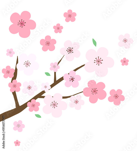 벚꽃