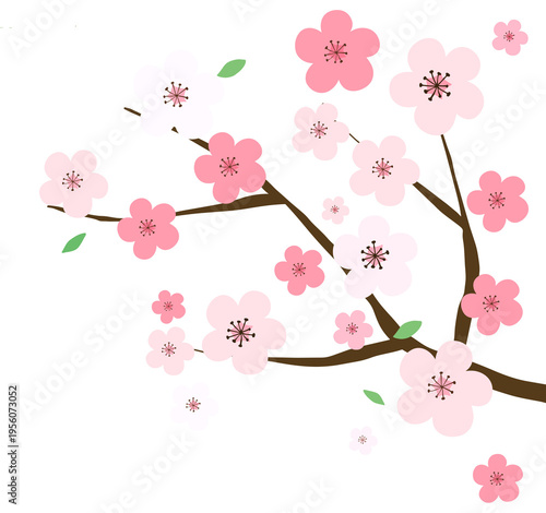 벚꽃